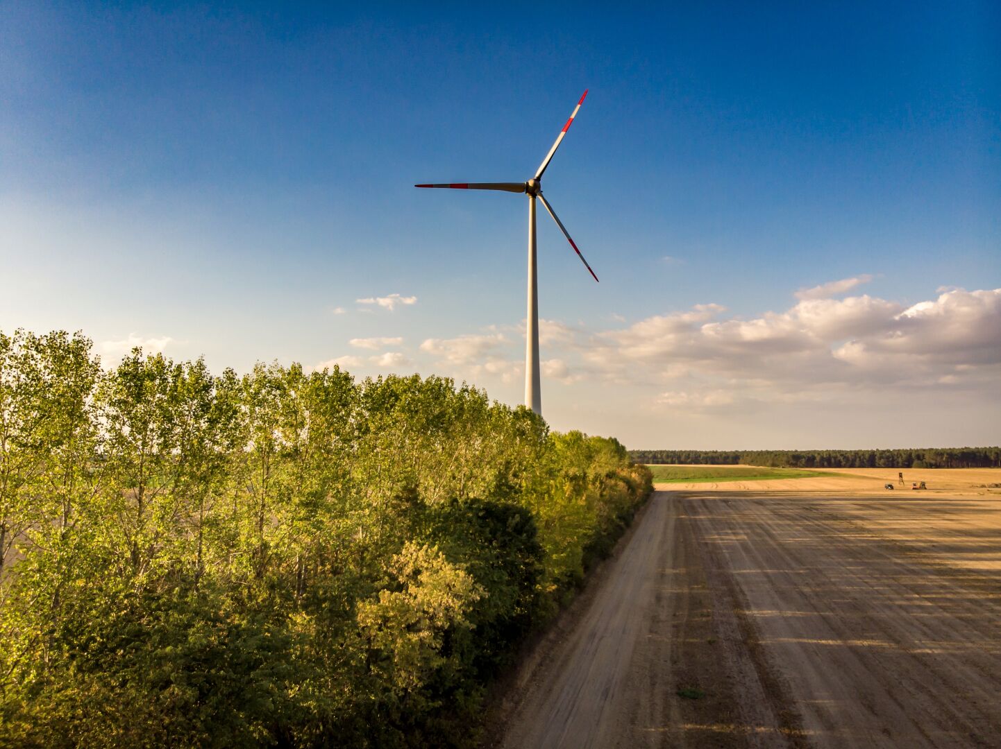 A wind turbine with the sun setting on the left side and a small strip of trees and bushes leading over the otherwise flat field towards the wind turbine