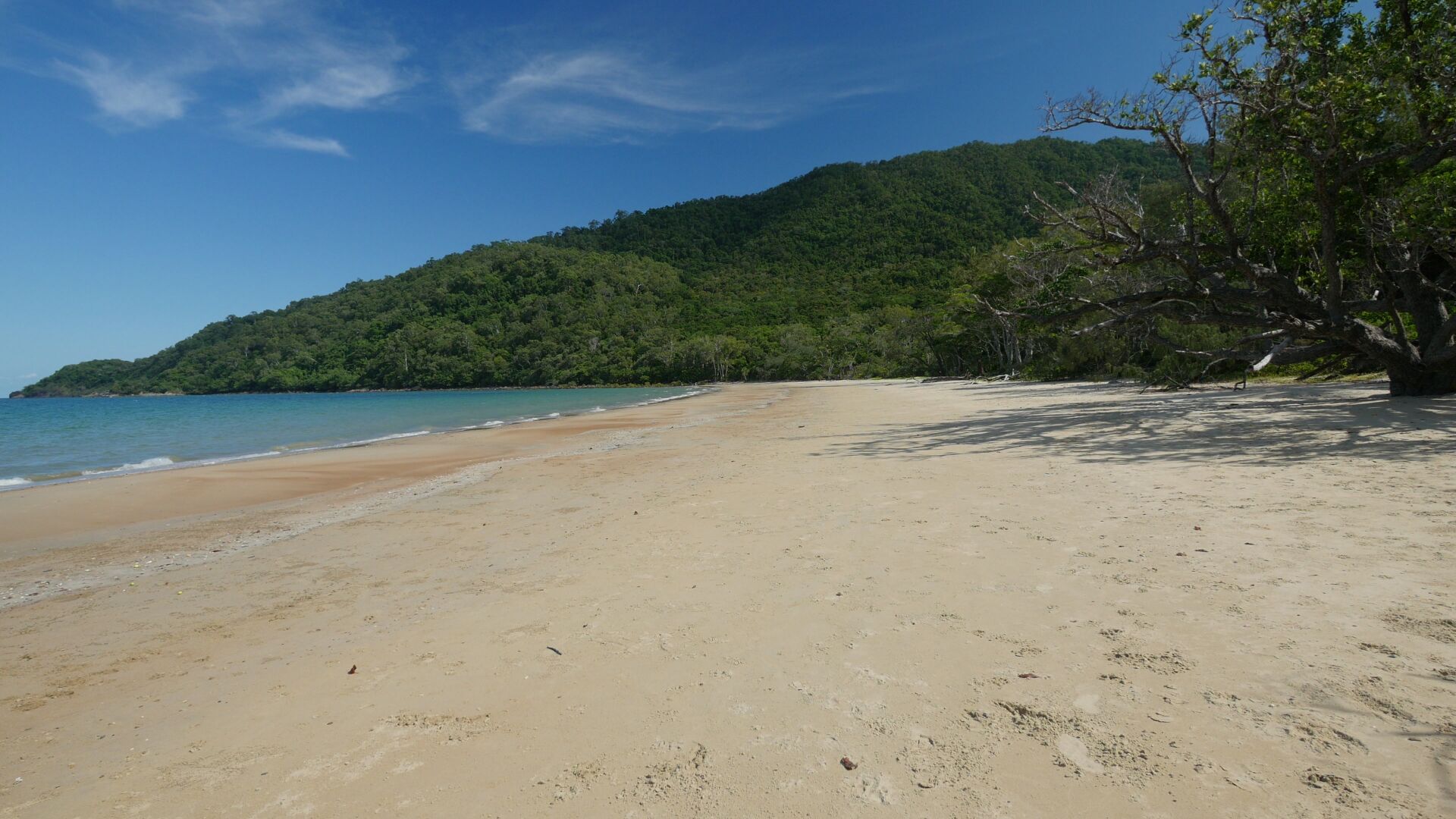 A large completely empty beach, with forest on the right and the blue sea on the left side