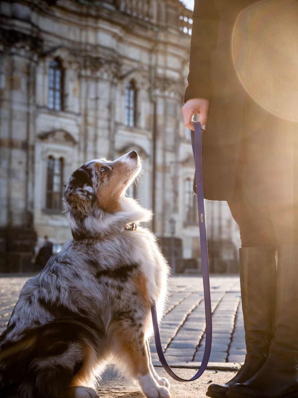 A dog sitting and looking at the person holding the other end of the leash. Behind the dog an old church wall is visible
