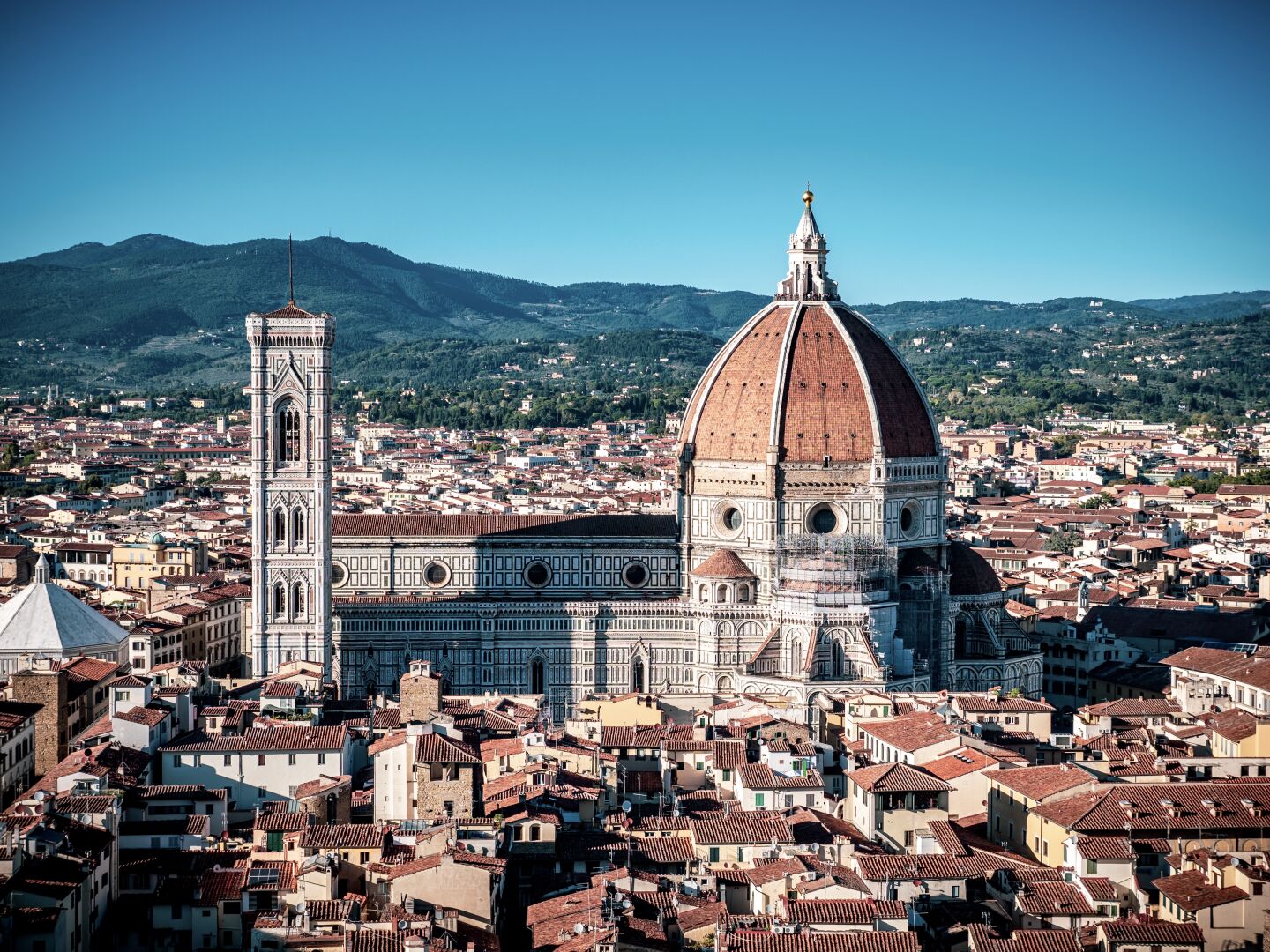 A big cathedral with a red couple made out of white stone sits in the middle of a dense city