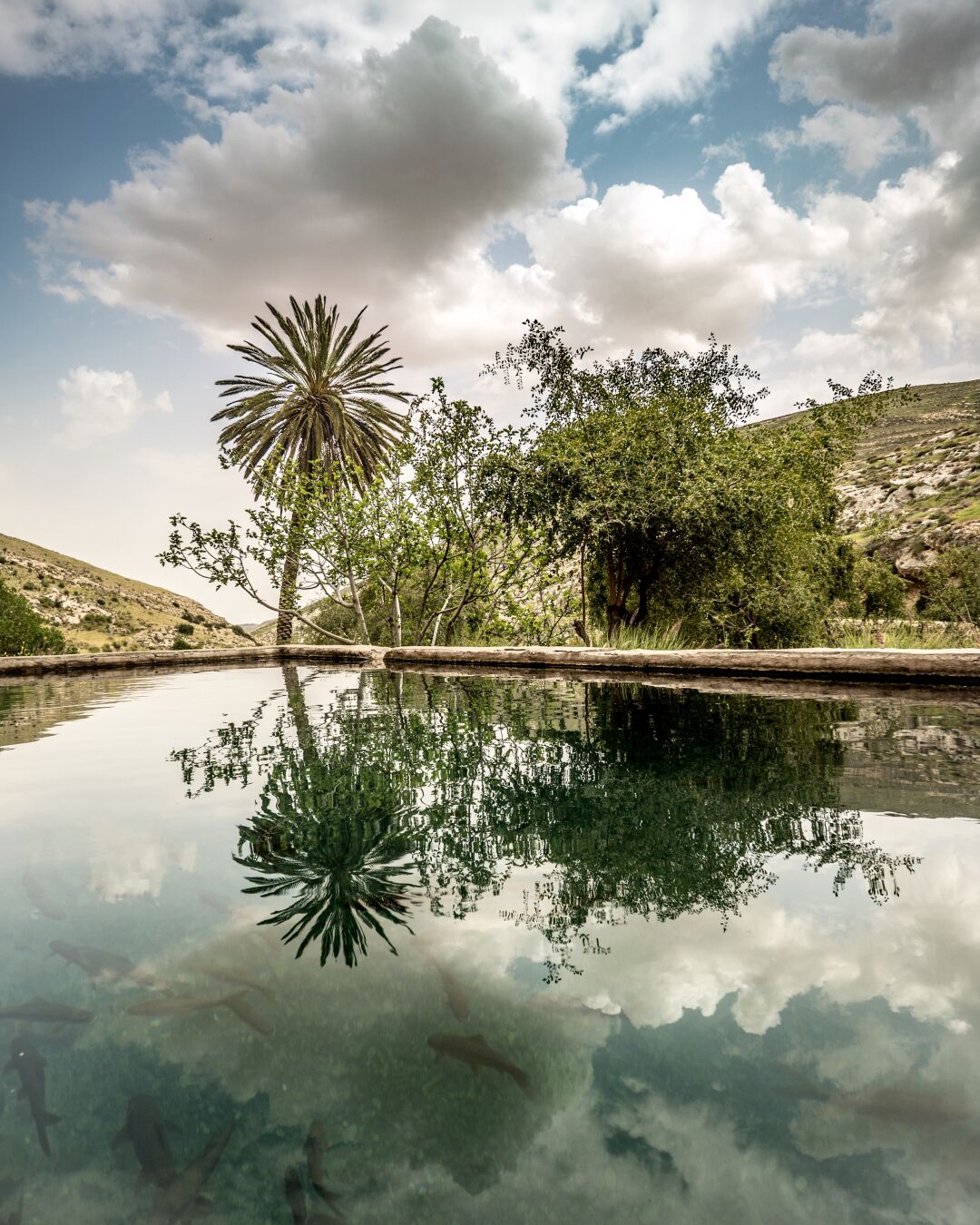 Water so clear you can see the fishes #oasis #SilentSunday
Image metadata: 11mm | 1/250s @ f4, ISO 100