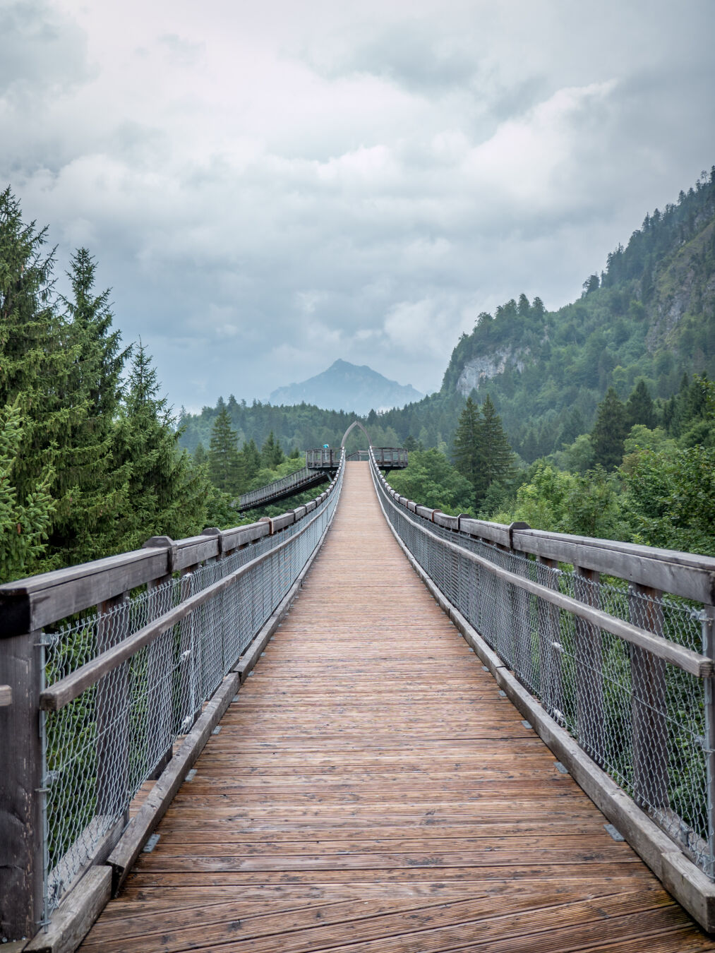 A swing bridge at the height of the tree tops towards a mountain
